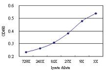 Anti-CD69 Antibody Pair