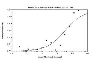 Mouse recombinant IGF-II (from <i>E. coli</i>)