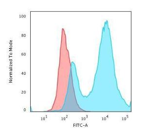 Anti-HSP27 antibody