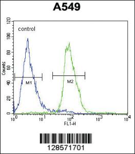 Anti-ERCC6 Rabbit Polyclonal Antibody