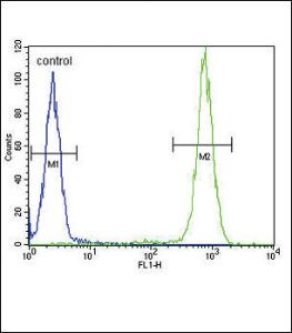 Anti-IL4 Rabbit Polyclonal Antibody