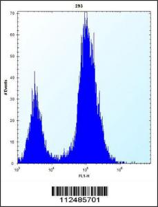 Anti-SCGN Rabbit Polyclonal Antibody (Biotin)