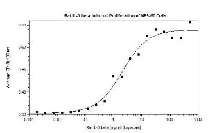 Rat Recombinant IL-3 beta (from E. coli)