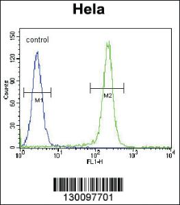 Anti-FNIP2 Rabbit Polyclonal Antibody