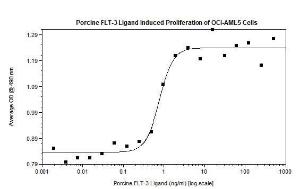 Pig Recombinant FLT-3 Ligand (from <i>E. coli</i>)