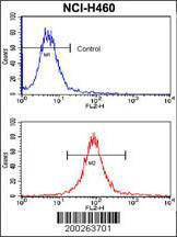 Anti-SOX2 Mouse Monoclonal Antibody [clone: 57CT23.3.4]