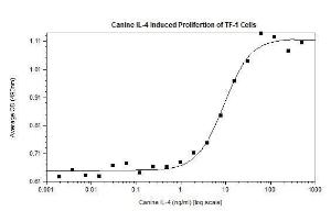 Dog recombinant IL-4 (from <i>E. coli</i>)