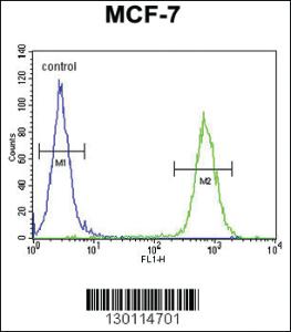 Anti-ARHGAP44 Rabbit Polyclonal Antibody