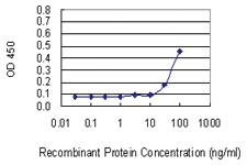 Anti-VDAC2 Mouse Monoclonal Antibody [clone: 3D2]