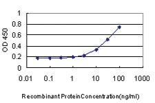 Anti-CDCA3 Mouse Monoclonal Antibody [clone: 4A10]