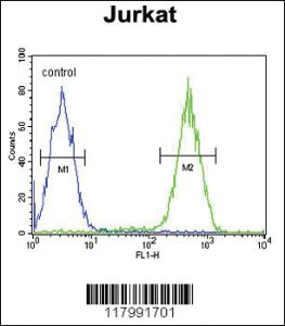 Anti-ITGAM Rabbit Polyclonal Antibody