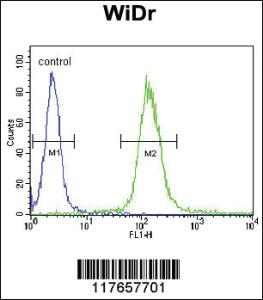 Anti-HSPD1 Rabbit Polyclonal Antibody