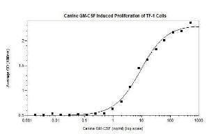 Dog recombinant GM-CSF (from <i>E. coli</i>)