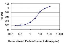 Anti-MPG Mouse Monoclonal Antibody [clone: 2C5]