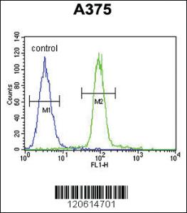 Anti-A1CF Rabbit Polyclonal Antibody