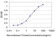 Anti-ADAM2 Mouse Monoclonal Antibody [clone: 4A2]