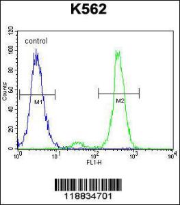 Anti-VILL Rabbit Polyclonal Antibody (Biotin)