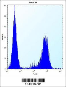 Anti-MAP3K15 Rabbit Polyclonal Antibody