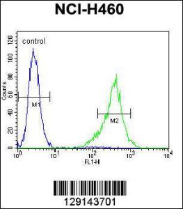 Anti-TSNARE1 Rabbit Polyclonal Antibody (HRP (Horseradish Peroxidase))