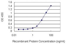 Anti-PASD1 Mouse Monoclonal Antibody [clone: 2B10]