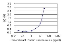 Anti-CD70 Mouse Monoclonal Antibody (Biotin)