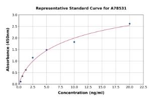 Representative standard curve for Human NOX1 ELISA kit (A78531)