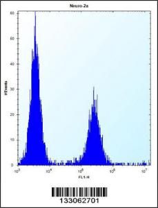 Anti-DCBLD2 Rabbit Polyclonal Antibody