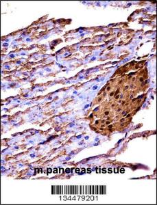 Anti-MAP3K2 Rabbit Polyclonal Antibody (FITC (Fluorescein Isothiocyanate))