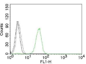 Flow cytometric analysis of Jurkat cells labeling CD31 with Anti-CD31 Antibody [JC/70A] (AF488) (Green). Cells alone (Black). Isotype Control (Grey)