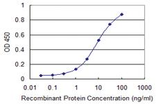 Anti-PTPRN2 Mouse Monoclonal Antibody [clone: 3E2]