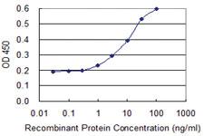 Anti-HSD17B7 Mouse Monoclonal Antibody [clone: 1G10]