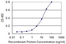 Anti-PTPRN2 Mouse Monoclonal Antibody [clone: 1G5]