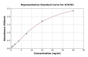 Representative standard curve for Human IgG2 ELISA kit (A76761)