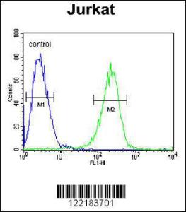 Anti-HADHB Rabbit Polyclonal Antibody (FITC (Fluorescein Isothiocyanate))