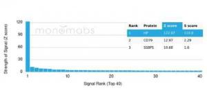 Analysis of protein array containing more than 19000 full-length human proteins using Anti-Haptoglobin Antibody [HP/3835]