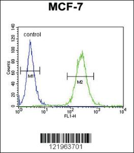 Anti-UPF2 Rabbit Polyclonal Antibody