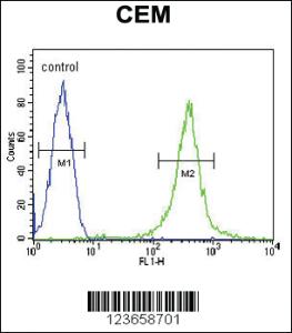 Anti-AMY2B Rabbit Polyclonal Antibody