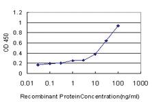 Anti-FUT7 Mouse Monoclonal Antibody [clone: 1A12]