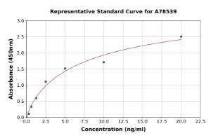 Representative standard curve for Human NQO1 ELISA kit (A78539)