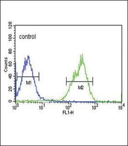 Anti-MAP4K3 Rabbit Polyclonal Antibody (AP (Alkaline Phosphatase))