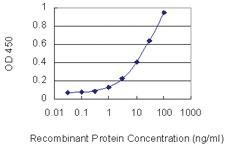 Anti-PTPRO Mouse Monoclonal Antibody [clone: 3F4]