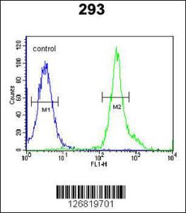 Anti-TSPAN3 Rabbit Polyclonal Antibody