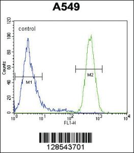 Anti-EPAS1 Rabbit Polyclonal Antibody