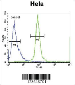 Anti-ESCO2 Rabbit Polyclonal Antibody