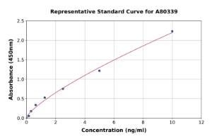 Representative standard curve for Rat MIF ELISA kit (A80339)