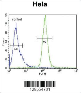 Anti-H2AFY2 Rabbit Polyclonal Antibody