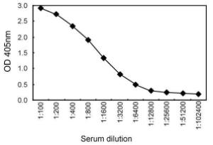 Sandwich ELISA for human serum using KT16 coated plate and HRP conjugated KT38