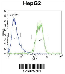 Anti-SEC13 Rabbit Polyclonal Antibody