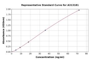 Representative standard curve for mouse NADK ELISA kit (A313181)