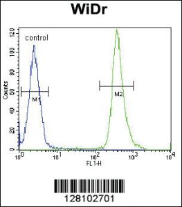 Anti-ZC4H2 Rabbit Polyclonal Antibody